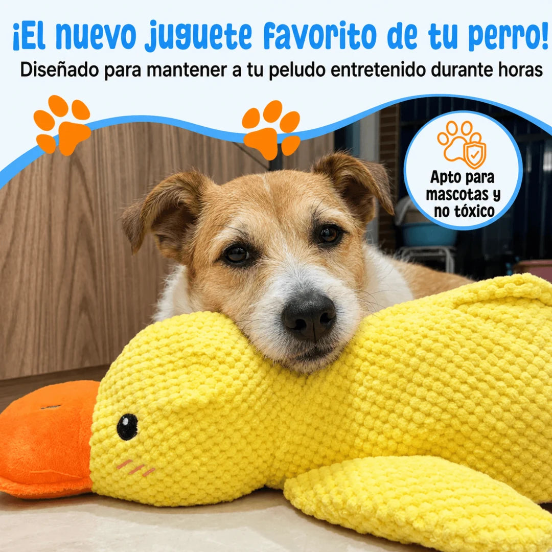Pato de apoyo emocional Somnnia con perro