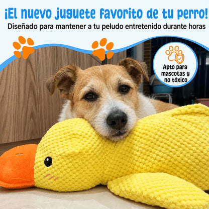 Pato de apoyo emocional Somnnia con perro